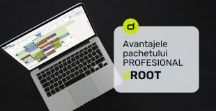 Avantajele pachetului Profesional dROOT