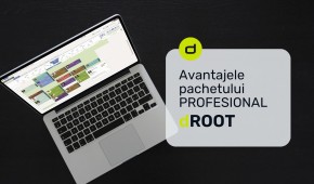 Avantajele pachetului Profesional dROOT